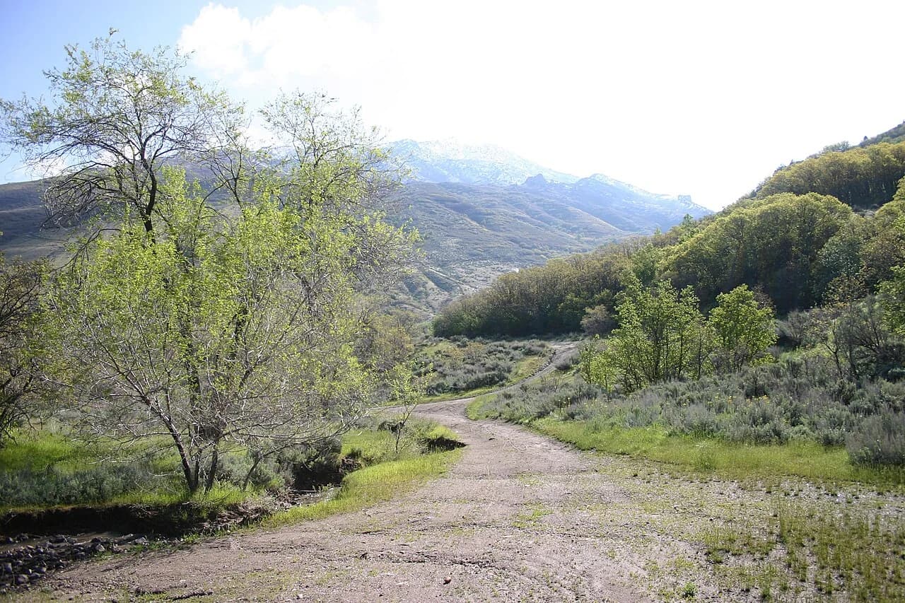 Corner Canyon in Draper
